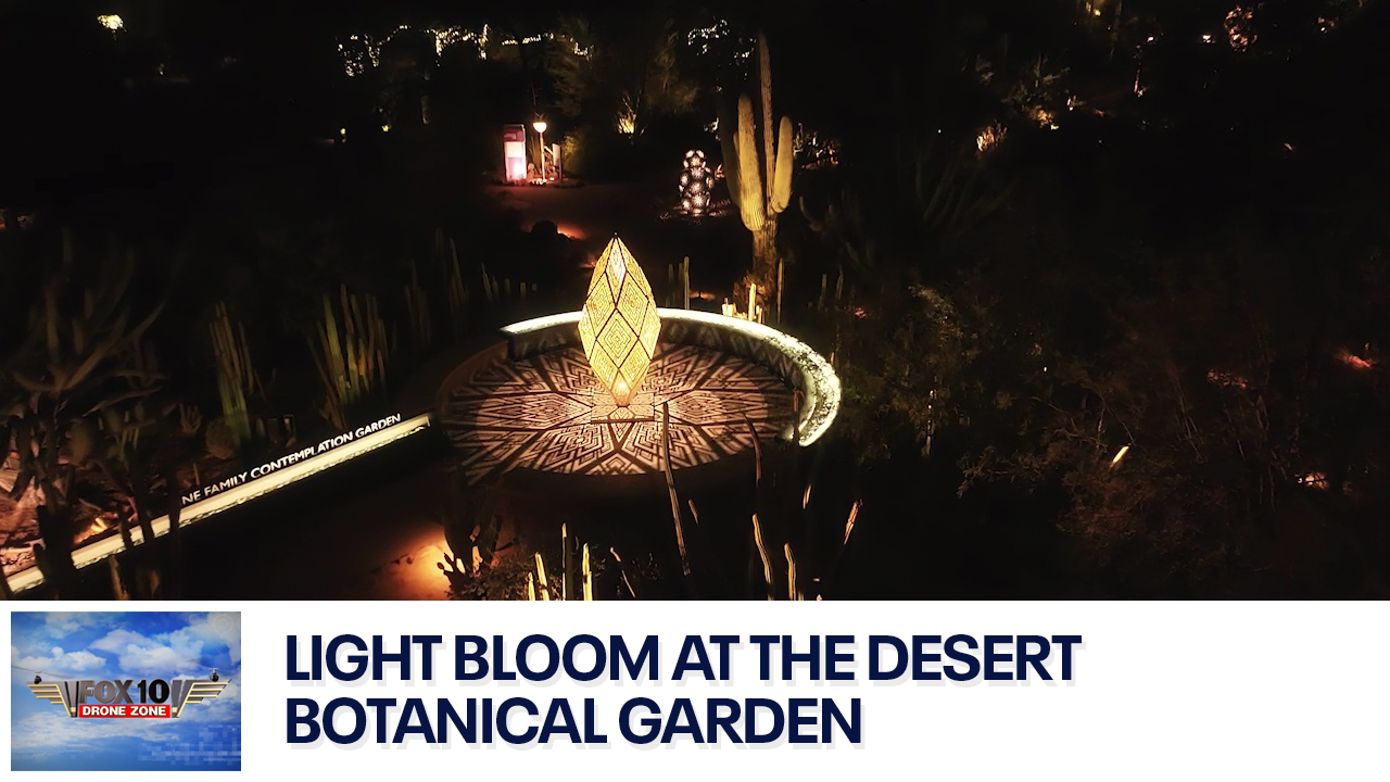 Desert Botanical Garden's Light Bloom | Drone Zone