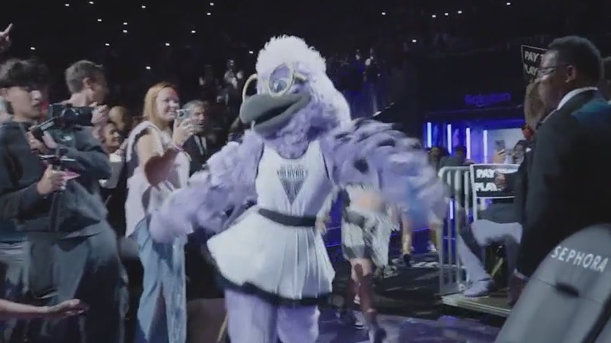 Valkyries reveal new mascot:  a raven named  "Violet"