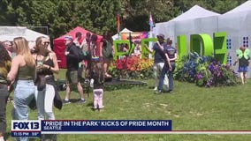 Pride month kicks off with Pride in the Park