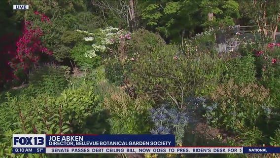 Diverse planting for a well-balanced ecosystem