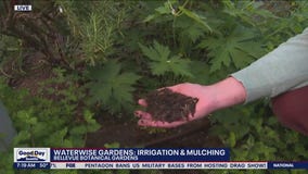 Waterwise gardens: Irrigation and mulching