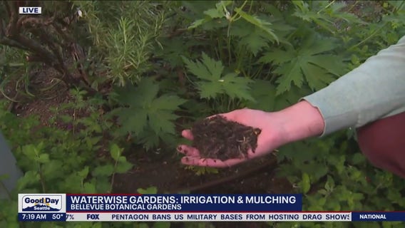 Waterwise gardens: Irrigation and mulching