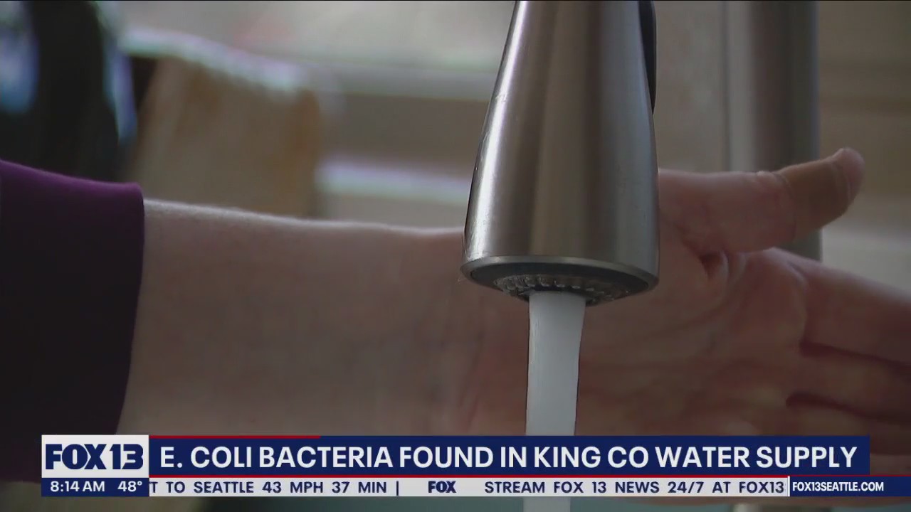 E. Coli bacteria found in King CO water supply