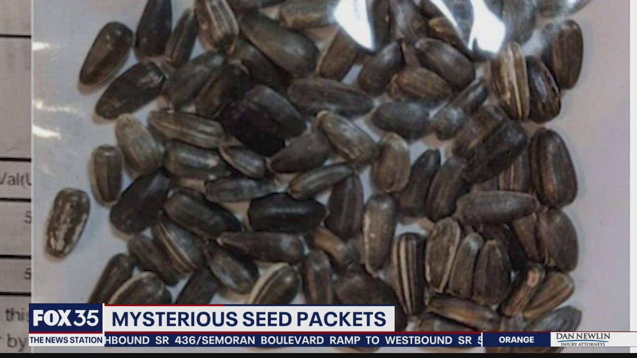 People receiving mysterious packets with seeds