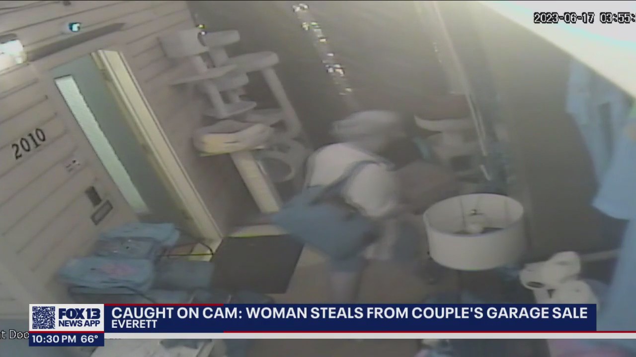 Caught on camera: Woman steals cash box from family raising funds to repair their only car