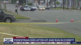Pedestrian killed in Everett hit-and-run
