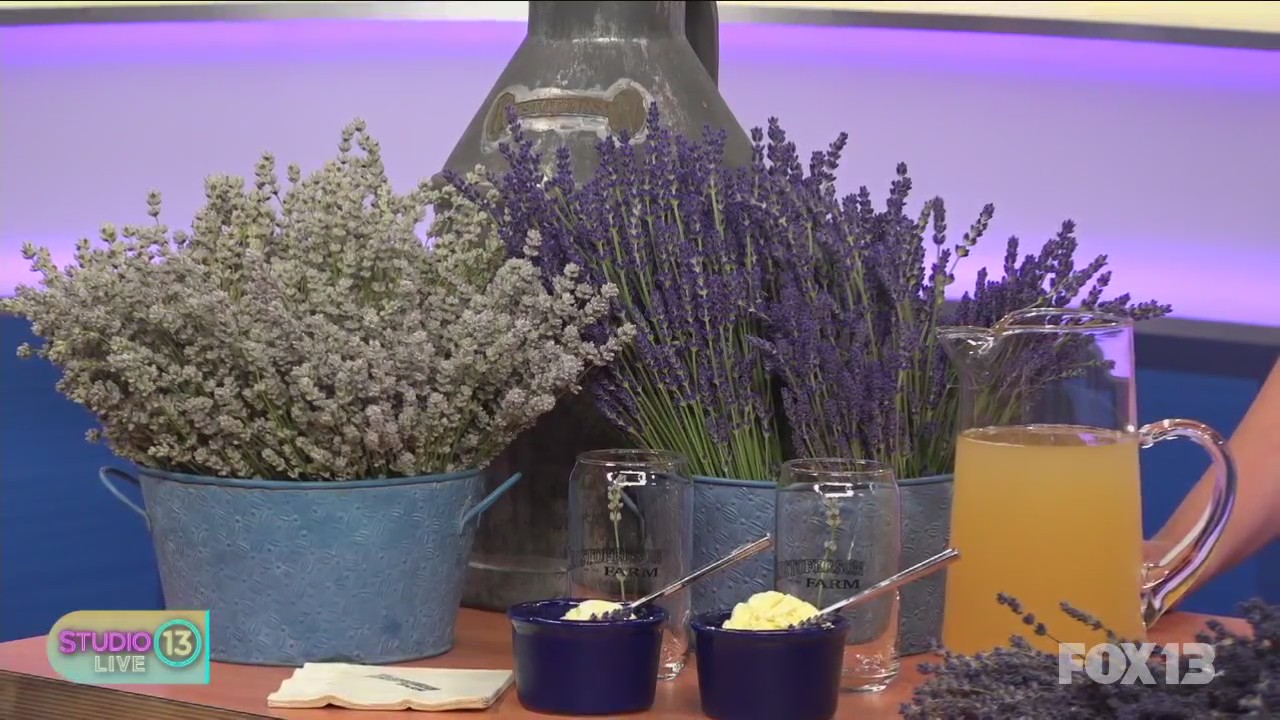 Lavender season underway at Kristoferson Farm on Camano Island