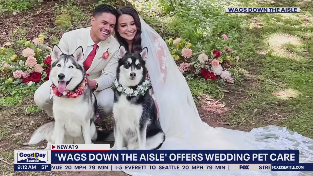 'Wags Down the Aisle' offers wedding pet care