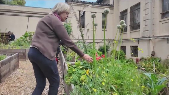 Senior community gardening in San Francisco | Take 2 Nightly