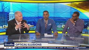 Two Mikes & a Bill: Optical illusions