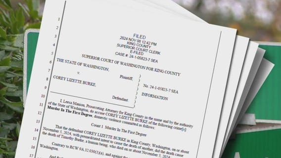 Woman killed her father with ice axe: police