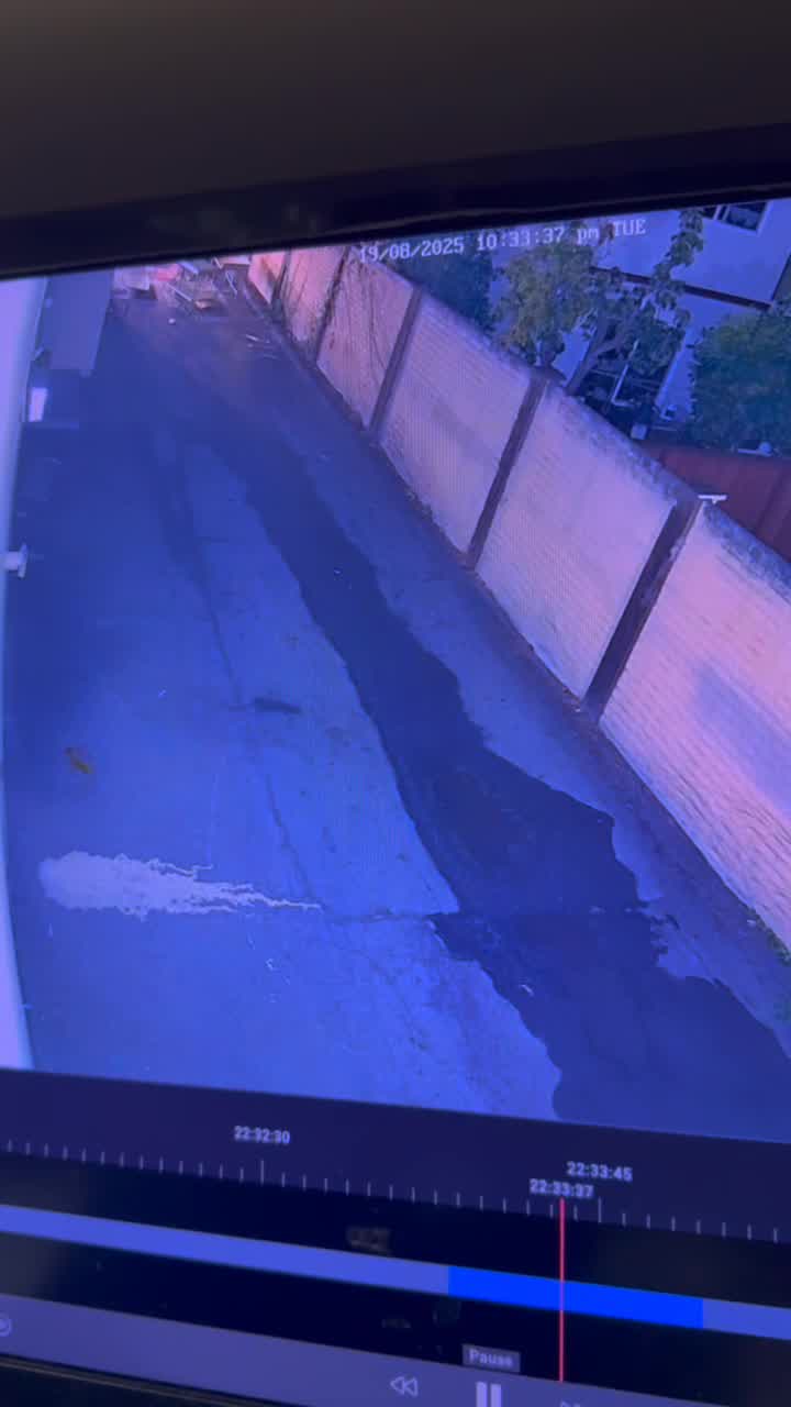 Video: Suspect in unprovoked Newark stabbing flees scene