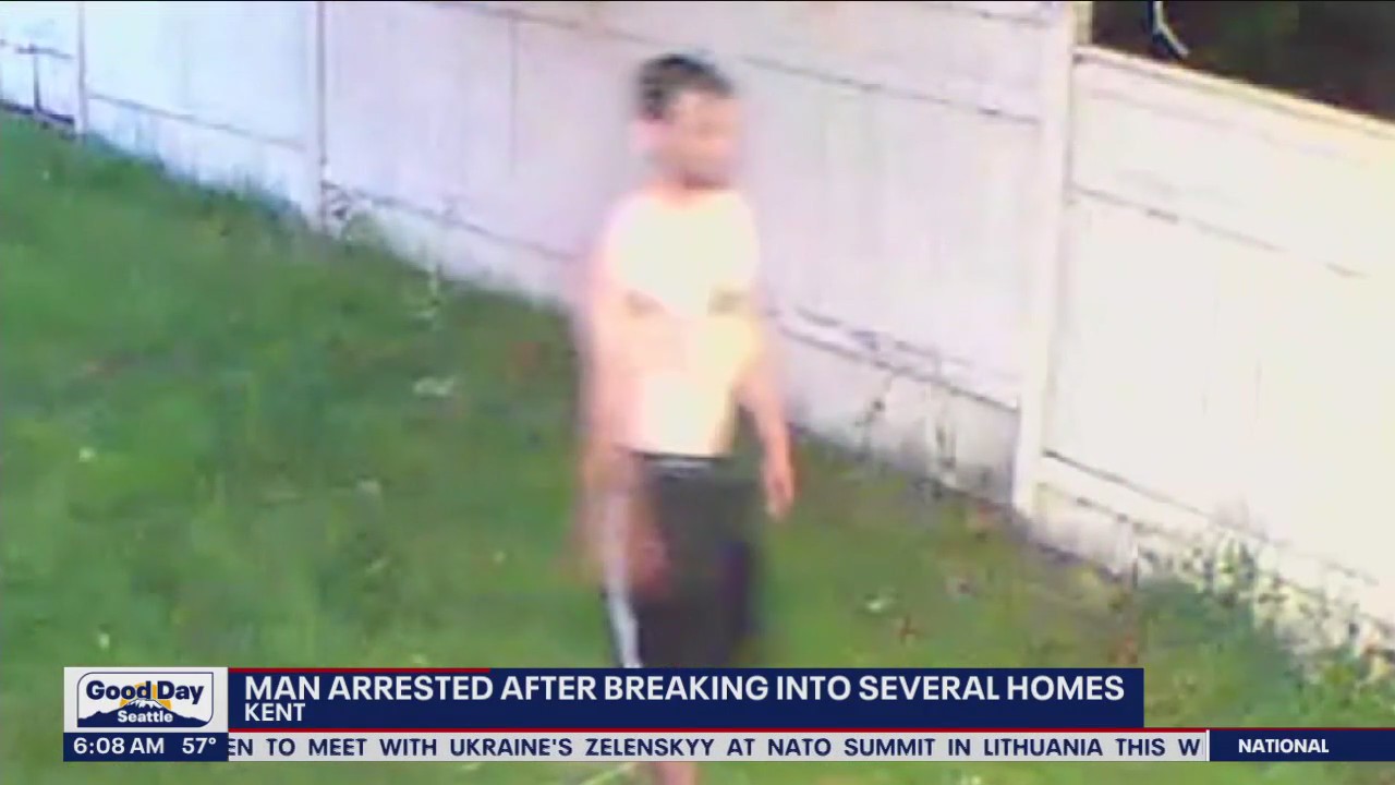 Man arrested after breaking into several homes