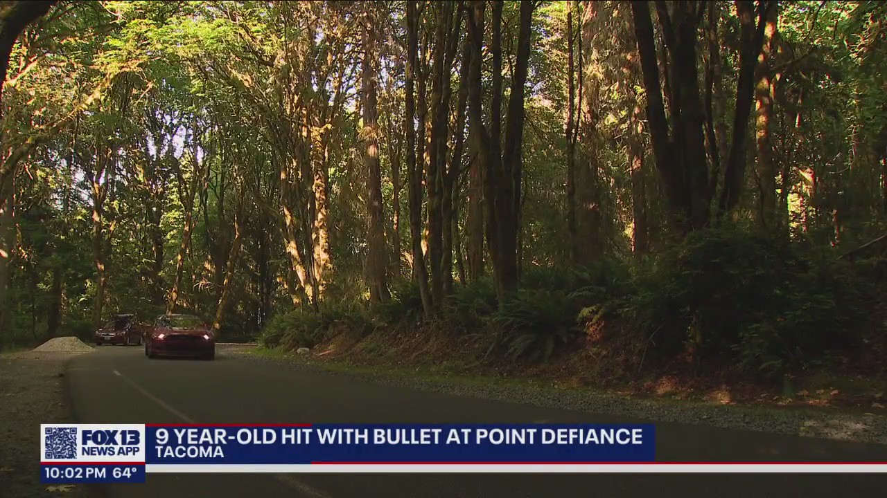 9-year-old child hit by bullet at Tacoma's Point Defiance Park