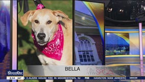 FurEver Home: April 17, 2022