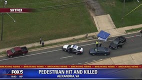 Female pedestrian struck and killed in Fairfax County
