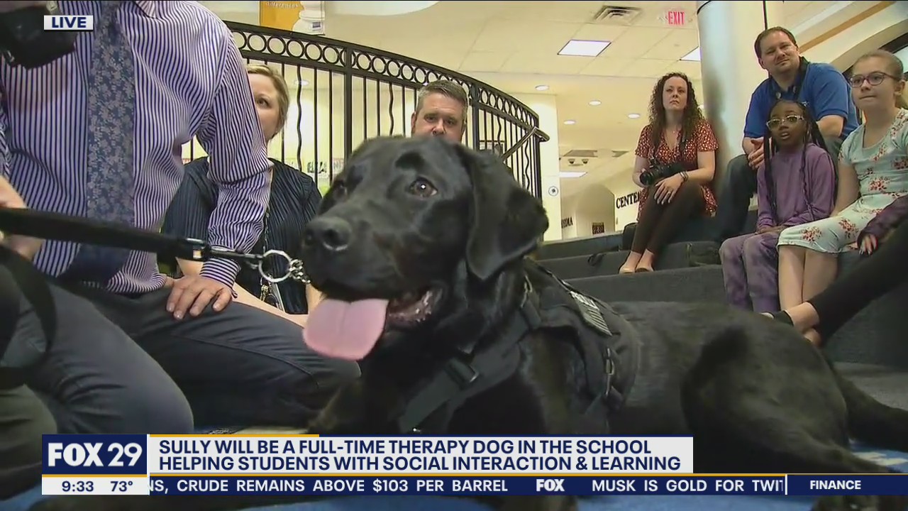 K-9 Sully to help students with social interaction and learning