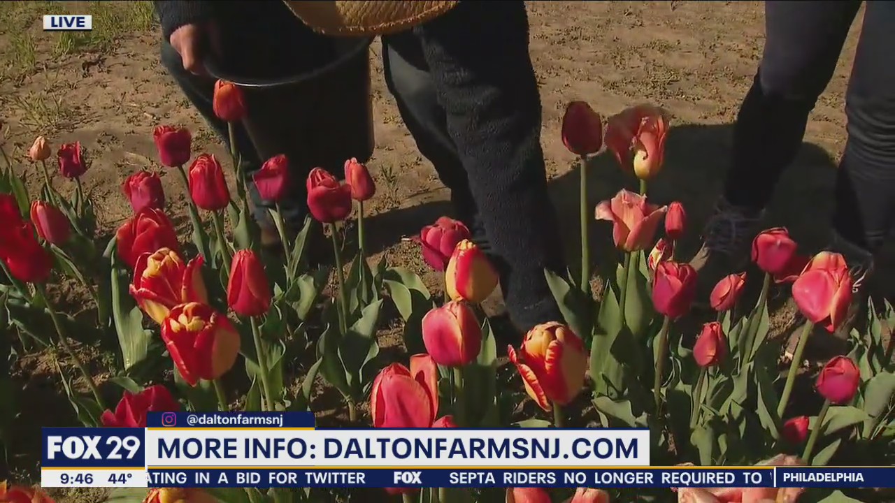 Spring has sprung at Dalton Farms