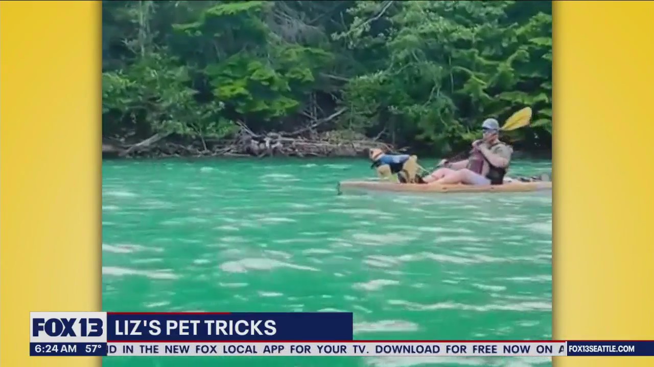 Pet Tricks for Friday, July 14