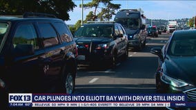 Car plunges into Elliott Bay with driver still inside