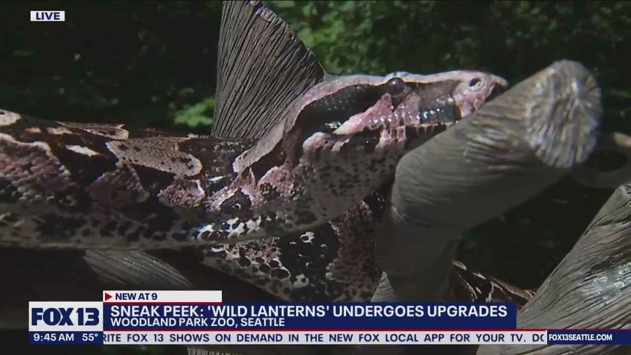 Woodland Park Zoo's WildLanterns gets an upgrade