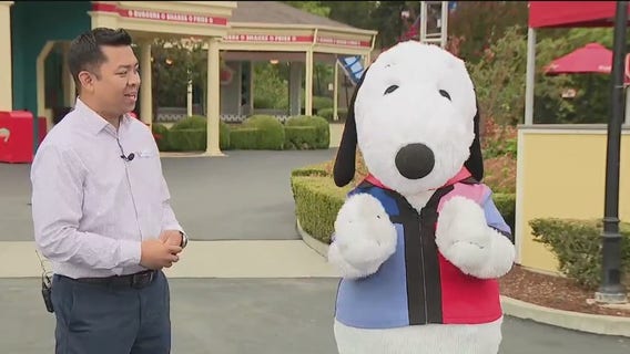 Great America hosting Labor Day weekend celebration