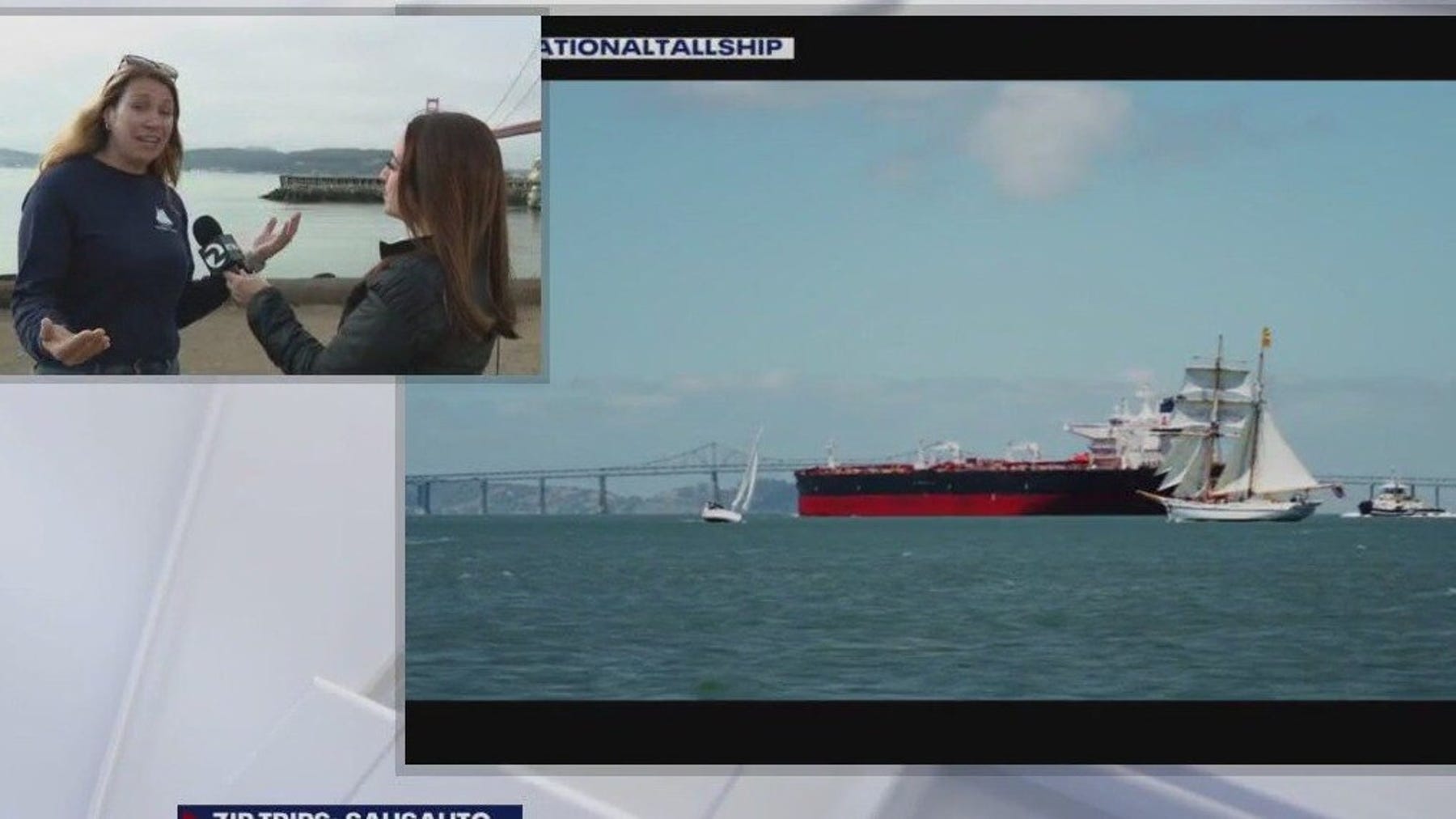 Zip Trips Sausalito: Call of the Sea