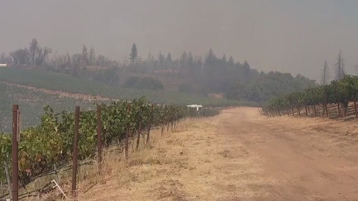 Pickett Fire threatens vineyards in wine country