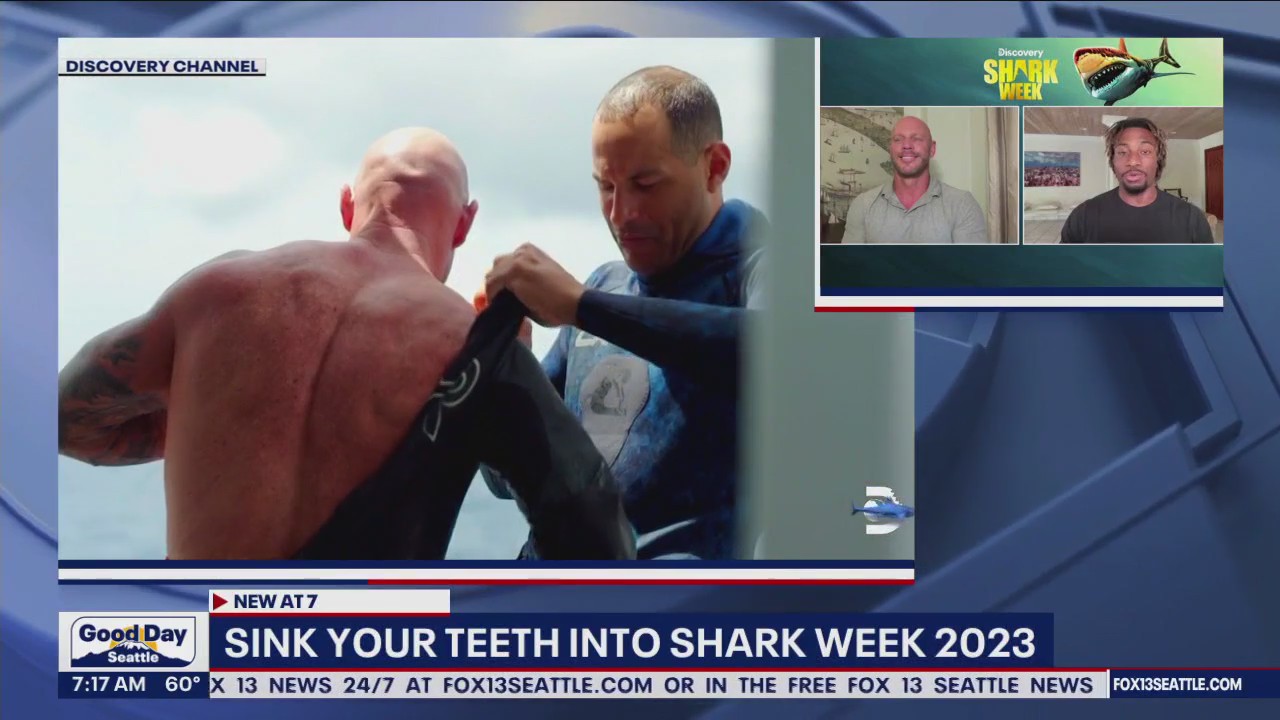 Sink your teeth into shark week 2023