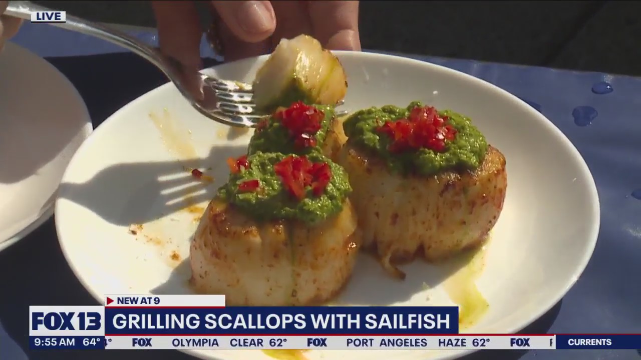 Grilling scallops with Sailfish