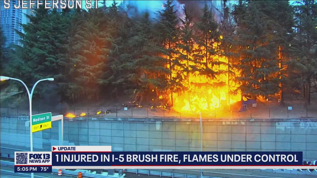 1 injured in massive brush fire along I-5