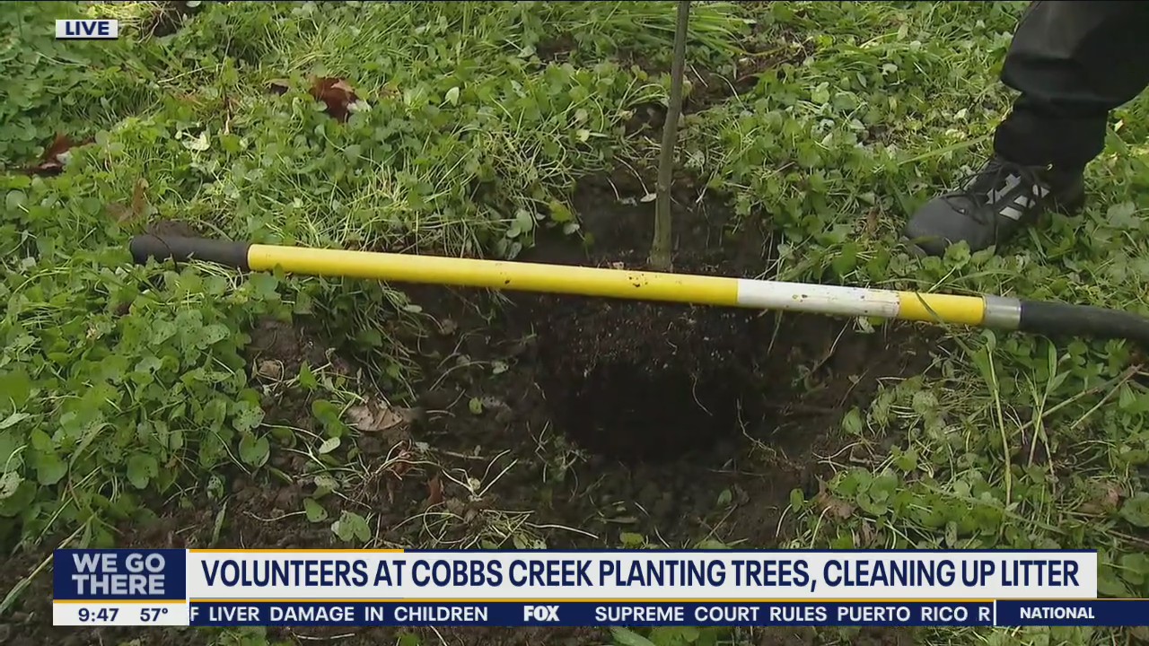Volunteers help plant trees and clean up litter at Cobbs Creek Center