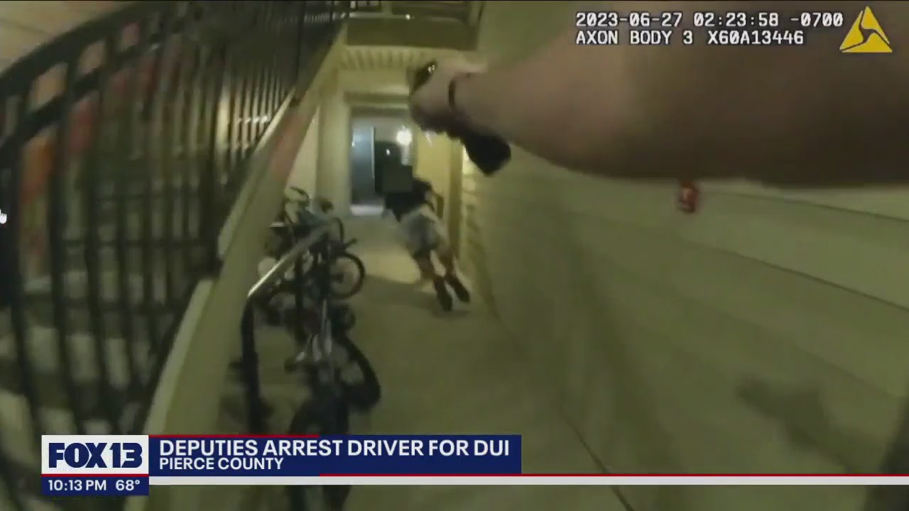 Alleged DUI driver vandalizes police cruiser before leading deputies on 13mph chase