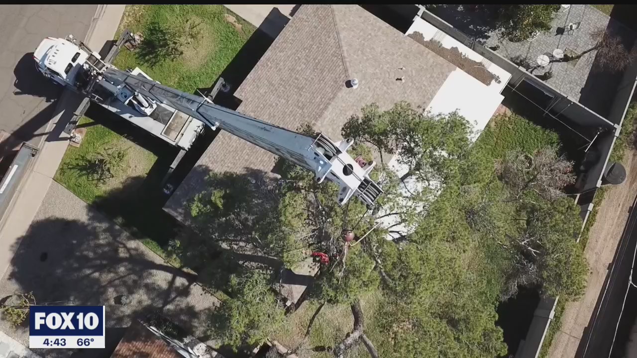 The conditions tree trimmers face | Drone Zone
