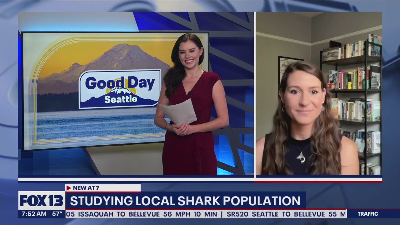 Shark Week: Studying local shark population