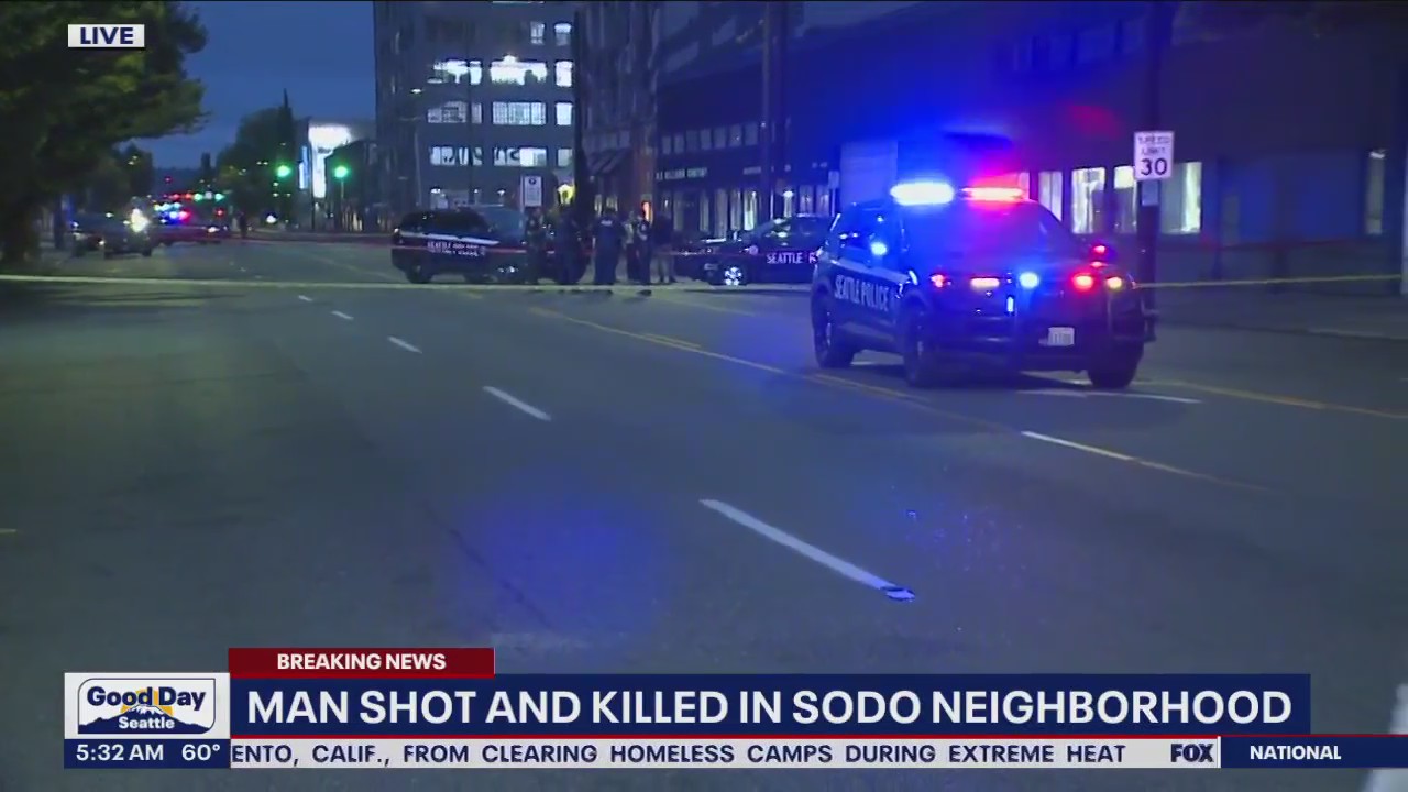 Man shot, killed in SoDo