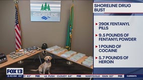Major fentanyl bust in Shoreline