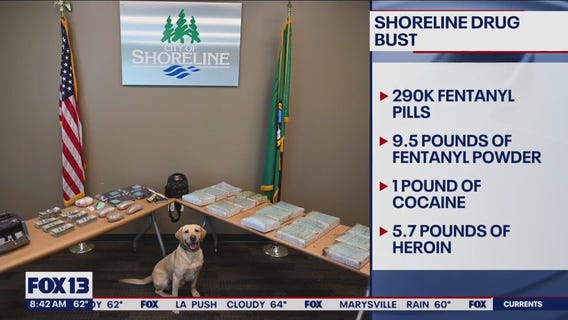 Major fentanyl bust in Shoreline