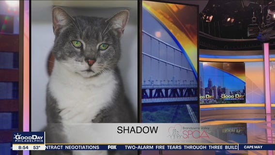 FurEver Home: May 1, 2022