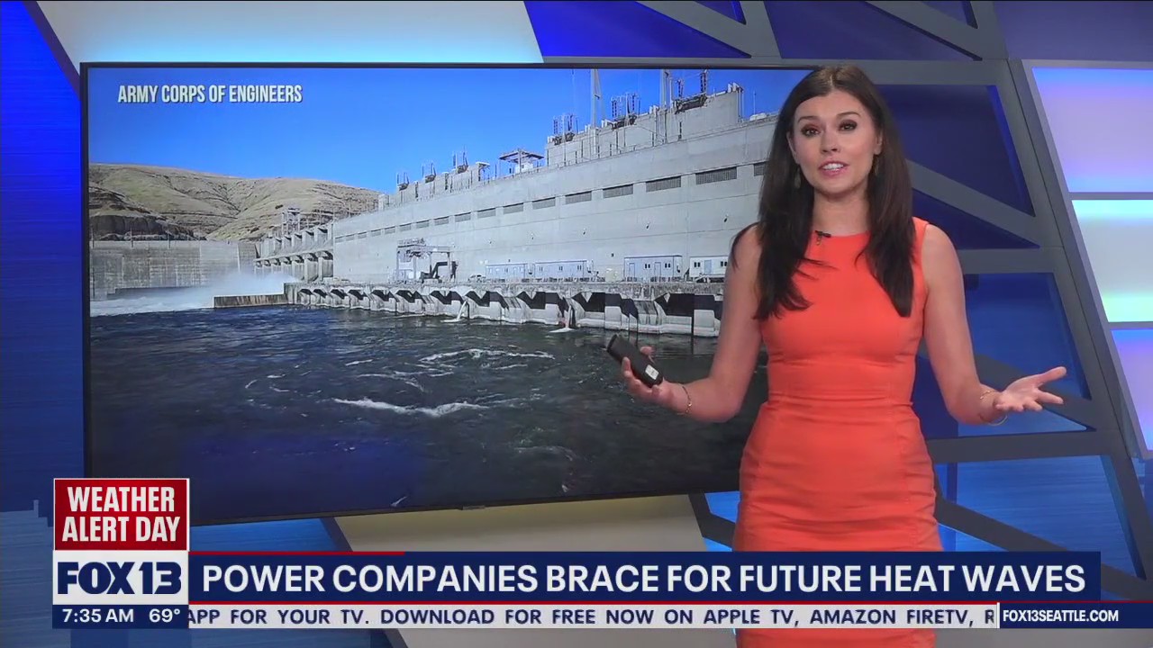 Power companies brace for future heat waves