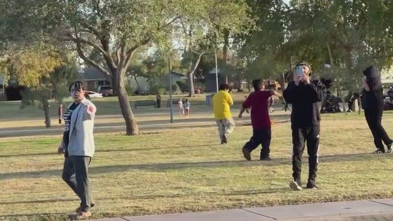 Chihuahua dog killed after Tempe park incident