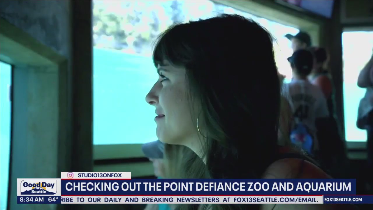 Good Day Seattle on the road: Point Defiance Zoo & Aquarium