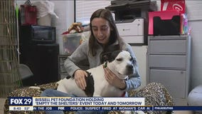 Bissell Pet Foundation holding 'Empty The Shelters' Event