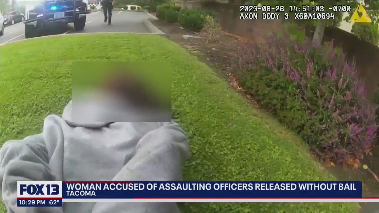 Woman accused of assaulting deputies released without bail