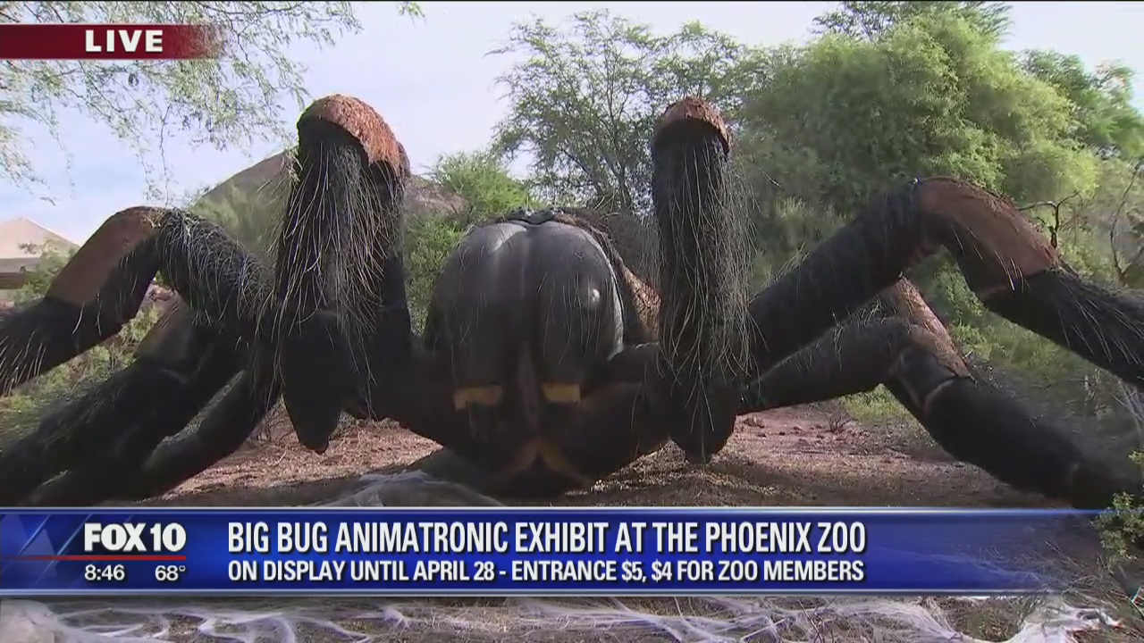 Cory's Corner: Big bug animatronic exhibit at Phoenix Zoo