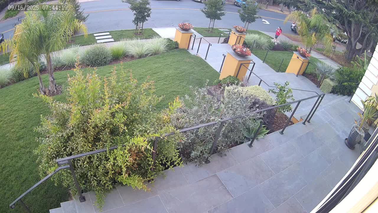 Video shows BMW driver hitting pedestrian and dog near UC Berkeley