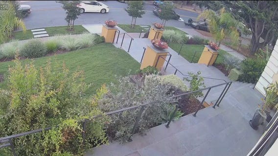 Suspect held in Berkeley rampage and carjack attempts