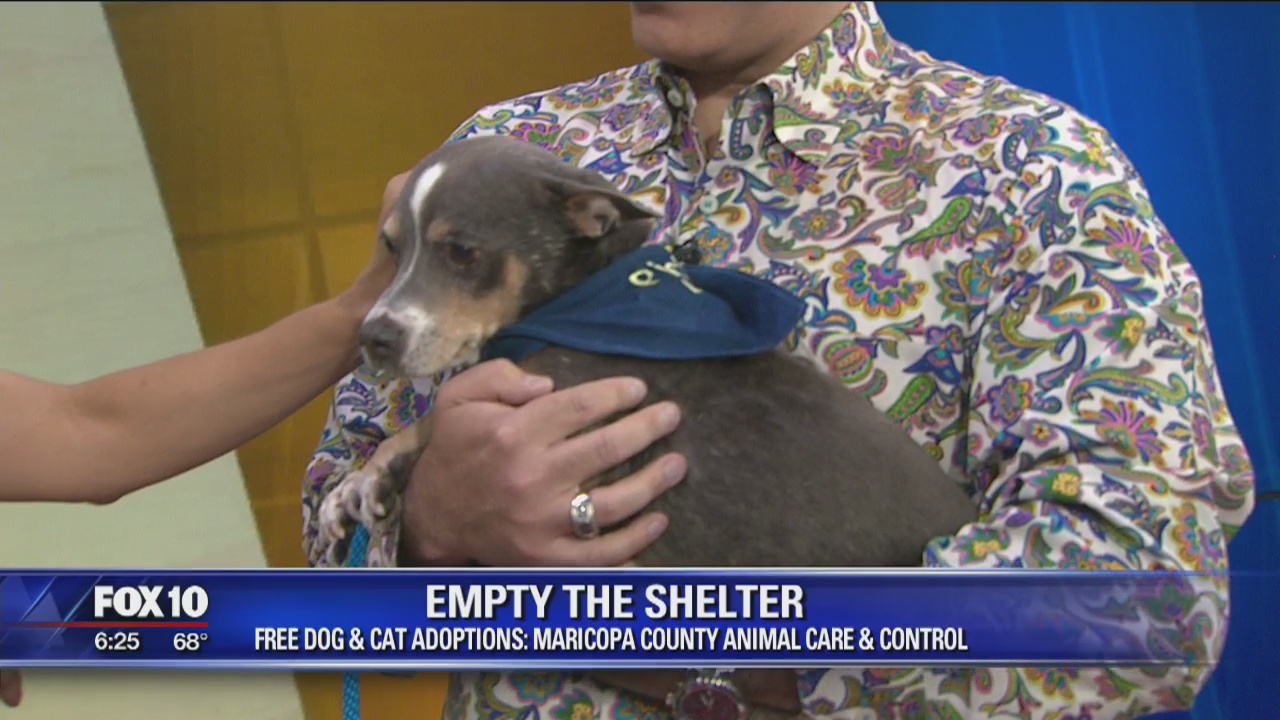 Empty the Shelter at MCACC