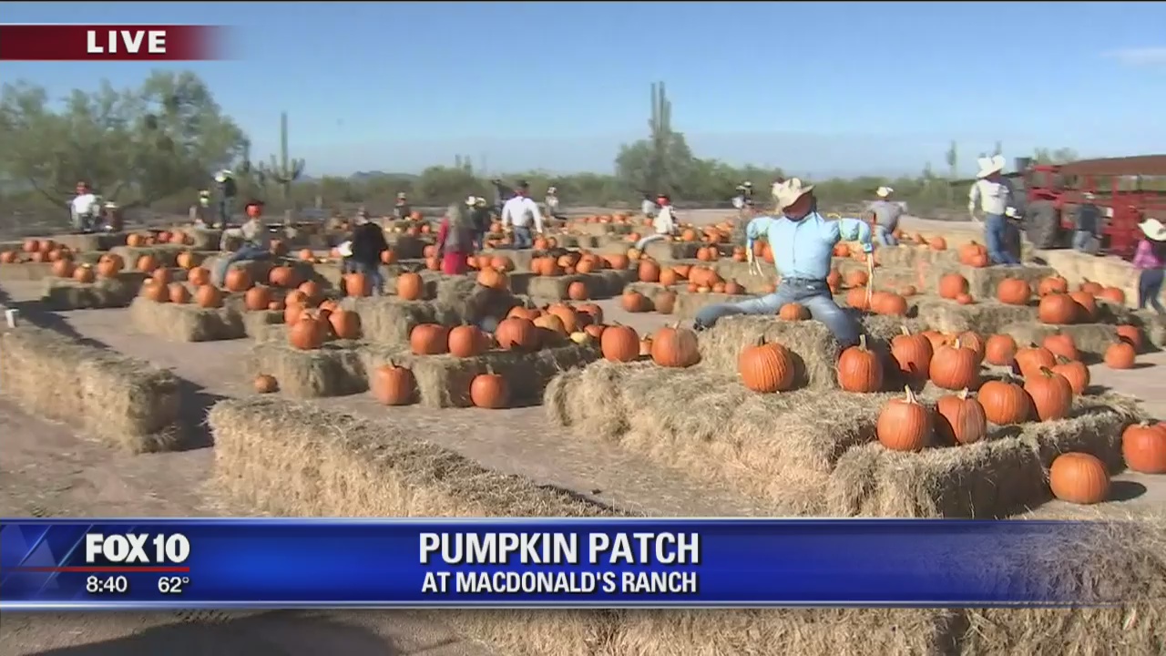 McDonald's Farm Fall Days