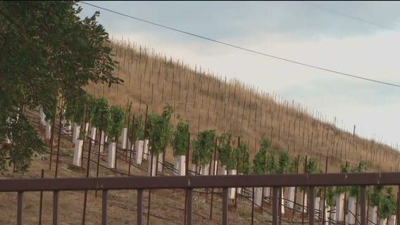 Pickett Fire investigation